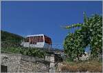 vinifuni-ligerz--prles-asm-5/923474/das-vinifuni-ist-kurz-nach-ligerz Das 'Vinifuni' ist kurz nach Ligerz auf dem steilen Weg nach Pr�les. 

14. August 2019

