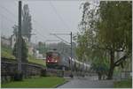 Es herrscht nicht gerade eitel Sonnenschein, als die SBB X-Rail Re 6/6 11688 (Re 620 088-5 / UIC Nummer Re 620  91 85 4620 088-5 CH-SBBC)  Linthal  mit dem  Spaghetti-Zug 47632 von Torino Orbassano