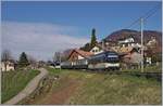 Der MOB Alpina ABe 4/4 93.01 und ein weiterer sind bei Planchamp mit dem arg gekürzten MOB Belle Epoque Zug von Zweisimmen nach Montreux unterwegs.