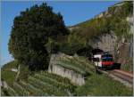 Der Steuerwagen einer S31 schlüpft aus dem nur 20 Meter langen Salanfe Tunnel zwischen Chexbres und Vevey (Linie des Train des Vignes/Rebergzuges). 4. Okt. 2015