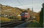 im Lavaux/550005/die-ae-66-11419-appenzell-ir Die Ae 6/6 11419 (Appenzell IR) erreicht mit einem Güterzug Lutry.
10. Nov. 2008