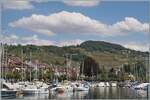 Als wir in Lutry auf unser Schiff nach Vevey warteten, sah ich, dass von dieser Stelle die Strecke Lausanne - Bern im Lavaux oberhalb von Lutry ein ganz passables Motiv abgeben w�re. Und bald darauf kam auch schon ein Zug: Ein SBB RBDe 560 Domino ist als R 40 24653 auf dem Weg von Lausanne nach Fribourg. 

6. August 2026