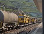 Leider habe ich zu sp�t gemerkt, welch interessante Fracht der von der SBB Cargo angemietete 193 067 gezogene G�terzug mit sich f�hrt, dann aber doch nochmals abgedr�ckt. Denn Schmalspurfahrzeuge in Rivaz sieht man ja nicht alle Tage.  

12. August 2026