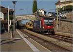 Die von SBB Cargo angemietete 193 067 f�hrt mit einem G�terzug durch den Bahnhof von Rivaz. 

12. August 2026