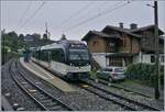 Der CEV MVR ABeh 2/6 7502 im Bahnhof von Clies. Leider wurde dieser Bahnhof f�r trotz starkem Protest der Kunden f�r den Reiseverkehr geschlossen und dient nur noch als Betrieblicher Kreuzungsstelle. Ebenfals geschlossen wurde die Haltestelle Gilamont. Zwischen Gilamont und Clies entstand als Ersatz die neuen Haltestelle Vevey Vignerons. 

27. Sept 2020