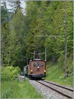 Nostalgie & Vapeur 2021 (Pfingstfestival) - Die Blonay-Chamby Bahn BOB  HGe 3/3 29 ist mit einem Personenzug von Blonay nach Chaulin unterwegs und erreicht in Kürze Chamby    22.