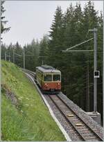 Der  BLM Mischbetrieb  mit den aktuellen und den neuen Triebwagen dauerte nur einen kurzen Sommer lang.