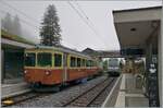Der  BLM Mischbetrieb  mit den aktuellen und den neuen Triebwagen dauerte nur einen kurzen Sommer lang.