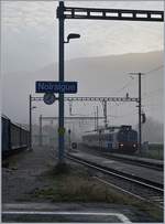 Am frühen und noch nebligen Morgen erreicht ein SBB RBDe 560 Domino als Regionalzug von Neuchâtel nach Buttes unterwegs den Halt Noiraigue. 

5. Nov. 2019