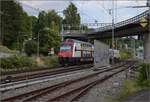 Künstlerleinwand und Blaumilchkanal... oder so... All das an der Goldküste. Stillleben mit RABe 514 040 in Zollikon. Juli 2023.