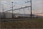 Schon fast im Bahnhof Rotkreuz ist die S-Bahn aus Zug nach Luzern angekommen.