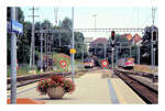 Seelinie Rorschach - Arbon - Romanshorn - Kreuzlingen - Stein am Rhein - Schaffhausen: Kreuzlingen am 16.August 2001.