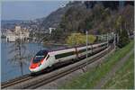 Ein SBB RABe 503  Pinocchio  ist als EC von Milano nach Genève unterwegs und konnte beim Château de Chillon fotografiert werden. 

24. März 2026