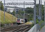 Auf den ersten Blick, eine banale Aufnahme: ein Nachschuss auf einen SBB LEX RABe 522; das Besondere: der SBB RABe 522 229 ist als RL7 23535 auf dem Weg von Annemasse nach Vernier und verl�sst in