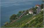 Ein Blick vom Wanderweg Cully-Rivaz auf die Strecke am See zeigt kurz vor Epesses einen Flirt auf der Fahrt Richtung Lausanne.