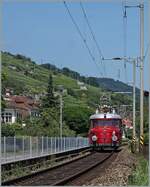 Nachdem die Reisegesellschaft in einem Weingut in Schafis sicherlich gut gespeist hatte, fuhr der OeBB RCe 2/4 607 (Baujahr 1938/Hersteller SLM, MFO, BBC und SAAS) wieder nach Balsthal zur�ck.