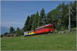 Ein kleiner Zug auf grosser Fahrt: Der RhB Bernina Bahn ABe 4/4 I N� 35 der Blonay Chamby Bahn ist mit dem Bernina Bahn As2 und dem MOB B4 N� 61 (beide auch Blonay-Chamby) als  Valrose Nostalgie