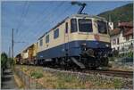 Die �berrschung des Tages und dies gleich Bild f�llend: die IRSI  Rheingold  Re 4/4 II 11387 (Re 421 387-2 / UIC 91 85 4421 387-2 CH-IRSI) ist mit eine  gelben  Anhang in Ligerz auf dem Weg von