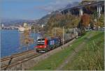 Die an SBB Cargo vermietet 193 060 ist mit einem Güterzug in Richtung Wallis kurz vor Villeneuve unterwegs.