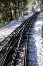 Gornergratbahn, Strecke mit Weiche und Zahnstange, am 22.08.1979.