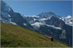 Auf der Fahrt zum Jungfraujoch. 
Kurz nach der Station Eigergletscher, den 21. August 2013