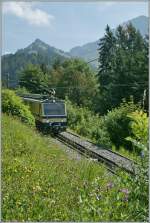 Nicht viel Zug, dafr mehr Sommer zeigt diese Rochers de Naye Bahn Bild.