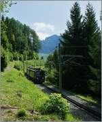 Ein Rochers-de-Naye Zug auf der Fahrt ins Tal bei Caux.
(03.08.2013)