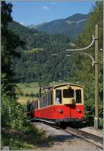 spb-schynigge-platte-bahn/440801/etwas-oberhalb-von-wilderswil-auf-dem Etwas oberhalb von Wilderswil, auf dem BOB Bahnwanderweg konnte der SPB Zug 651 abgelichtet werden. 
12. Juli 20015 