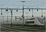 TGV Lyria/652603/freie-fahrt-zeigt-das-gruppen-- Freie Fahrt zeigt das (Gruppen) - Ausfahrsignal im Rangierbahnhof von Biel/Bienne, nicht jedoch für den TGV, der wird erst später und in der Gegenrichtung nach Bern fahren.

5. April 2019