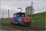 Die Eem 923 023-6 Dent de Vaulion ist kurz vor Auvernier auf der Fahrt in Richtung Neuchâtel. Einige Zeit vorher haben wir die Lok mit einen Güterzug in der Gegenrichtung fahren sehen. 

8.Oktober 2025