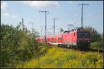 Mit einem Ersatzzug ist DB Regio 114 027-6 am 20.08.2011 in der Berliner Wuhlheide unterwegs