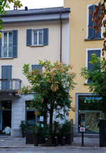 Eine kleine Inspiration....
In der Corso Paolo Ferraris in Domodossola (im Piemont, Italien) am 09.09.2021.