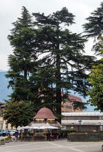 Der Kiosk am Bahnhof Domodossola (im Piemont, Italien) am 09.09.2021. Auch ist der Caffè Espresso sehr gut, so trinken wir ihn dort auch sehr gerne und beobachten das Treiben auf der Piazza Giacomo Matteotti vorm Bahnhof.
