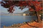 Herbststimmung beim Château de Chillon.