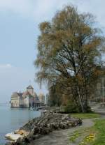 Im Schatten einer Birke fotografiere ich das Chteau de Chillon.