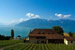 Eine Impression am  Grand Lac  - Am 28.05.2012 unterweg mit dem  Train des Vignes  (S31) von Vevey nach  Chexbres.