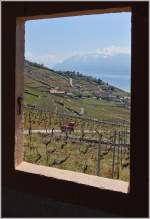 Blick aus einem Fenster auf's Lavaux und seine Umgebung.