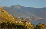 St-Saphorin und der Rochers-de-Naye im Licht der untergehenden Herbstsonne  (16.10.2017)