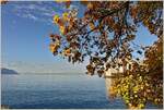 Herbst am Genfersee  (16.11.2022)