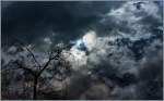 Himmlisches Spiegelbild  (12.03.2013)