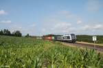 761 004 + 186 039 mit Elbtal Umleiter von Hof nach Cheb bei Brand bei Marktredwitz.
