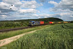 7383 425-6  modility  mit einem Containerzug in Richtung Ansbach bei Treuchtlingen.