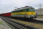 GySEV 430 326 steht mit ein Leerzug am verregneten 16 September 2024 in Györ um ein IC nach hegyeshalom Vorrang zu geben.