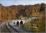  LA DER 2020 du Blonay-Chamby  / Saison Abschluss der Blonay-Chamby Bahn: Mit einem verstärkten Fahrplan und viel Dampf wird vor dem  Winterschlaf  (bzw.
