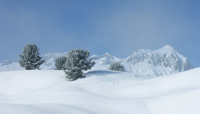 Winterimpressionen.
(Januar 2009) 